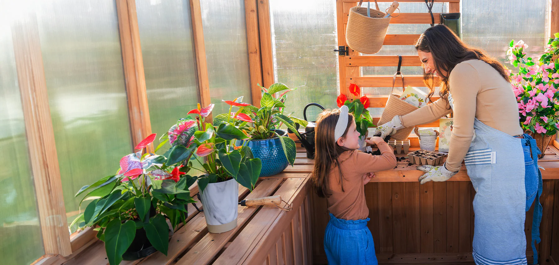 Elevate Your Backyard Living Experience