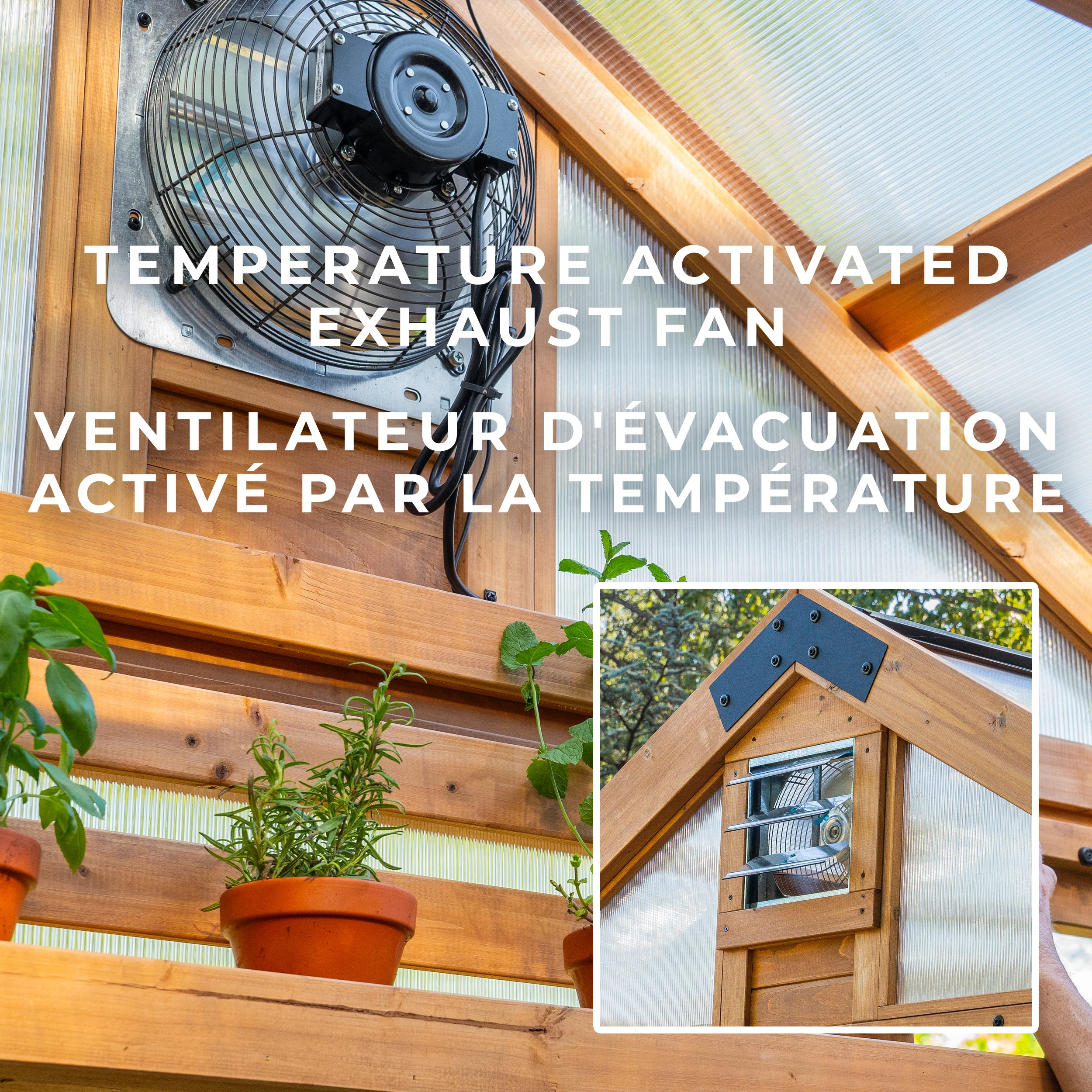 Bellerose Greenhouse (11ft x 7ft) - Image 5