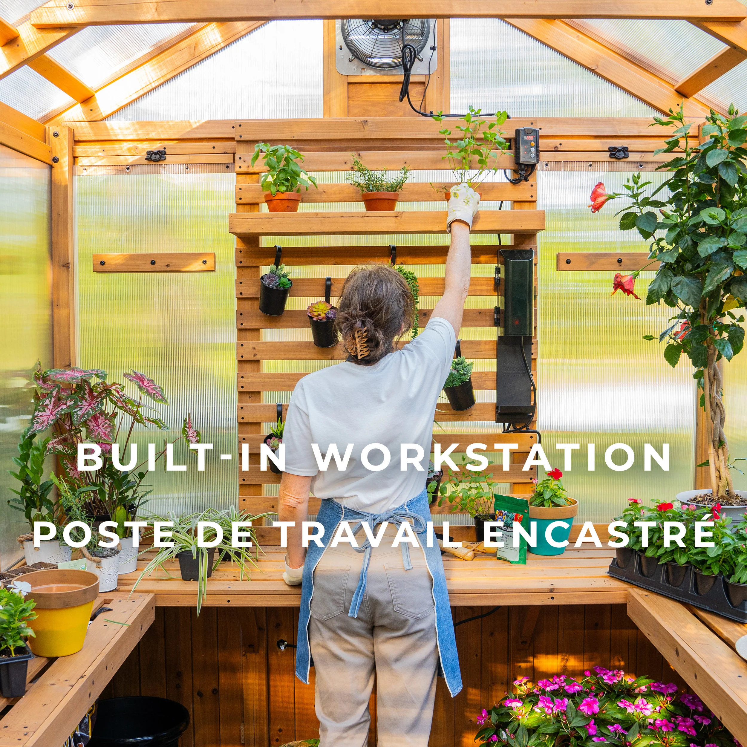 Bellerose Greenhouse (11ft x 7ft) - Image 9