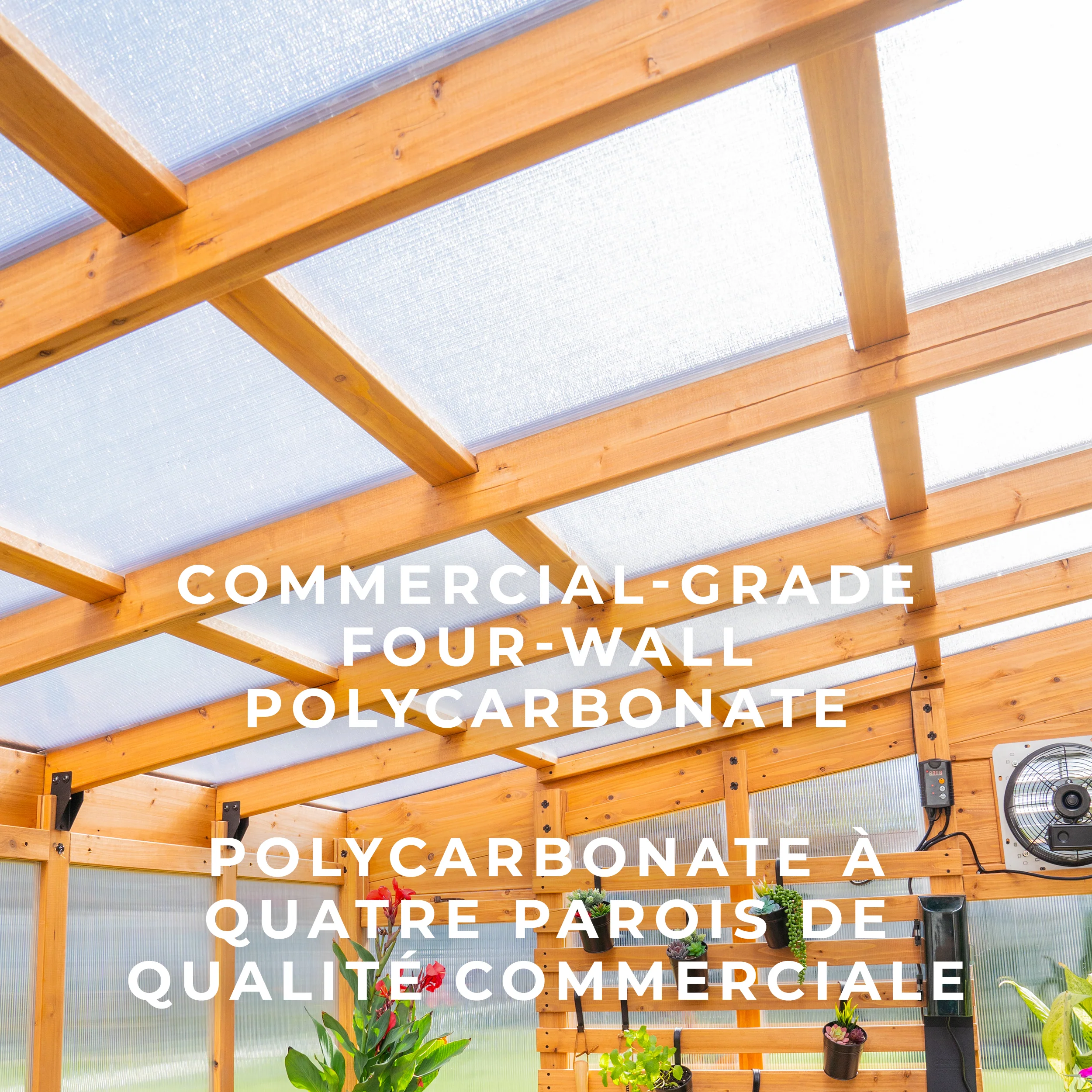 Zalie Greenhouse (12ft x 7ft) - Image 4