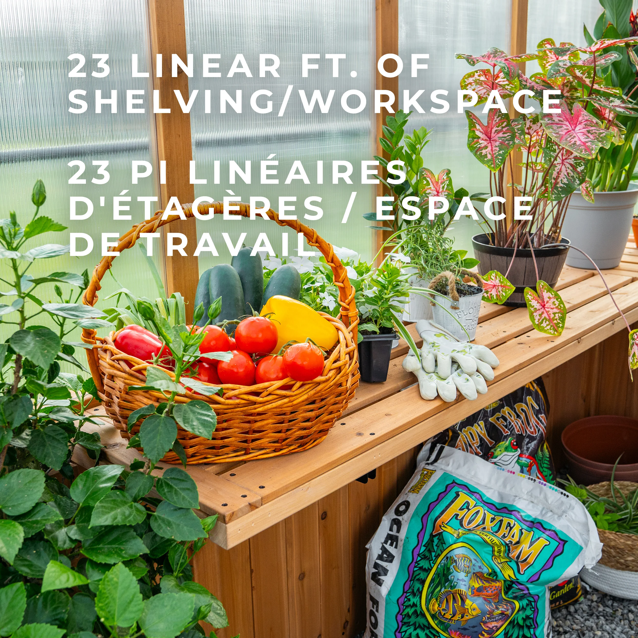 Zalie Greenhouse (12ft x 7ft) - Image 7